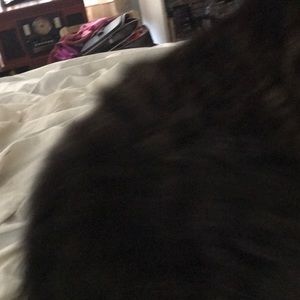 Meet your Posher, Georgia